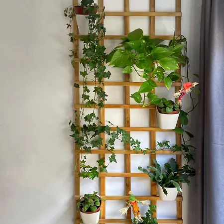 Apartment Bkd1 A Tan Solo 50 Metros De La Playa Canteras *